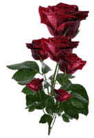 розы - ücretsiz png