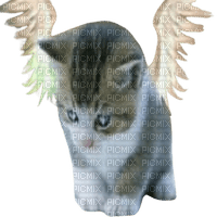 angel kitty - PNG gratuit