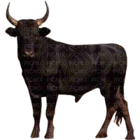 bull - zdarma png