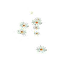 cvijeće - Бесплатни анимирани ГИФ