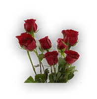 ROSES - 無料png