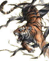 tiger - Gratis animeret GIF