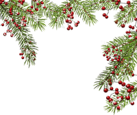 Christmas frame_ branch_Noël cadre branche_tube - Free PNG