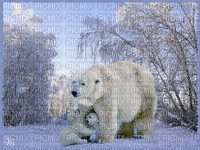 Winter.Hiver.Polar Bears.Ours polaire.Neige.Snow.Victoriabea - GIF animé gratuit