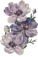 fleurs scintillantes - Ilmainen animoitu GIF
