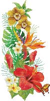 soave deco summer animated branch tropical flowers - 免费动画 GIF