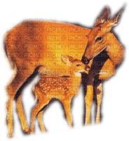 ANIMAUX - zdarma png