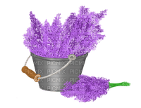 lavender lavendel lavande flower fleur blossom blumen deco tube spring printemps fleurs - png grátis