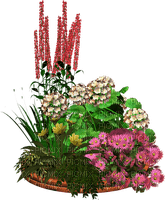 fleur,flower bed, garden, Adam64 - bezmaksas png