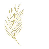 Plume.leaf.feuille.Gold.deco.Victoriabea