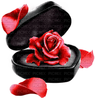 Rose.Petals.Box.Black.Red - zdarma png
