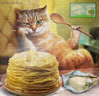 CAT - GIF animado grátis