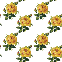 tileable yellow rose bg - Free PNG