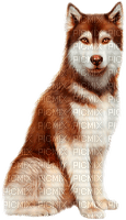 Y.A.M._Dog - ilmainen png