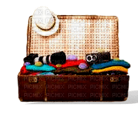 Valise.Suitcase.Victoriabea - zadarmo png