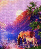 image encre paysage art ink gif effet la nature cheval eau le coucher du soleil edited by me - Безплатен анимиран GIF