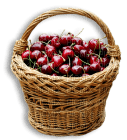 Kaz_Creations Fruits - png grátis