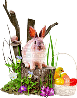 Easter.Cluster.Rabbit.Basket.Chick.Eggs.Flowers - 免费PNG