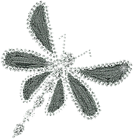 chantalmi papillon butterfly libellule dragonfly gris grey - 無料のアニメーション GIF