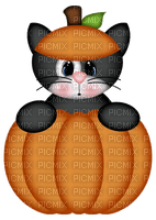little cat in a pumpkin - бесплатно png