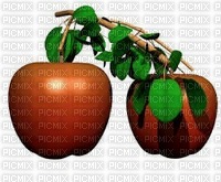 Jabłuszka - zdarma png