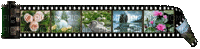 cecily-barre film couleur animee - Ücretsiz animasyonlu GIF