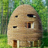Beehive Home in the Forest - gratis png