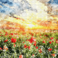 kikkapink background spring field flowers - Бесплатный анимированный гифка