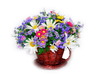patymirabelle fleurs dans panier - ingyenes png