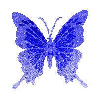 blue butterfly animated - GIF animasi gratis