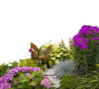 Jardín de flores y plantas