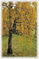 Paysage.Landscape.Automne.Autumn.Victoriabea - Nemokamas animacinis gif