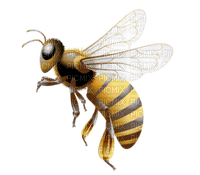 Kaz_Creations Bees Bee - png gratis