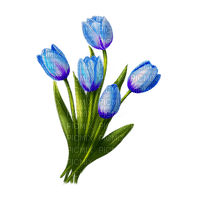 tulips Bb2 - gratis png