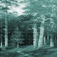 Y.A.M._Landscape forest background blue - Animovaný GIF zadarmo