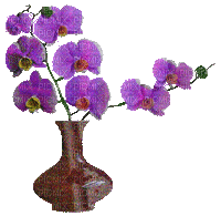 bloem - Ingyenes animált GIF