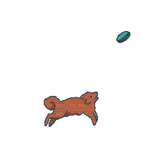 Dog Catch - Animovaný GIF zadarmo