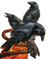 crows - PNG gratuit