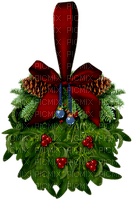 Mistletoe.Brown.Red.Green.Blue - δωρεάν png