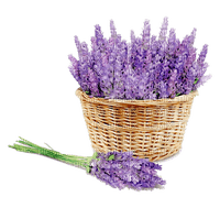 Lavender bouquet and basket - ücretsiz png