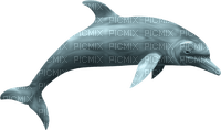 Dolphin.Gray.Grey - png grátis