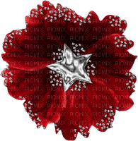 Patriotic.4th OfJuly.Scrap.Red - ilmainen png
