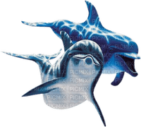 Kaz_Creations Dolphins Dolphin - kostenlos png