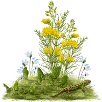 yellow flowers - PNG gratuit