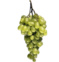 white grapes 4 - zadarmo png
