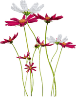 Flores - бесплатно png