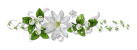 Flower Decoration - ücretsiz png