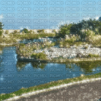 Lake Background - Gratis geanimeerde GIF