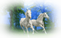 loly33 cheval - Free PNG