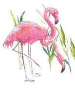 Vögel, Flamingos, Aquarelle - бесплатно png